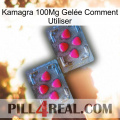 Kamagra 100Mg Gelée Comment Utiliser 14